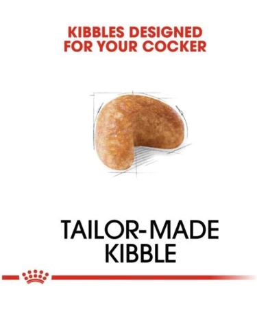 Royal Canin Cocker Adult - 12 kg bag / Croquettes for adult Cocker dogs - Buy Online on GoSupps.com