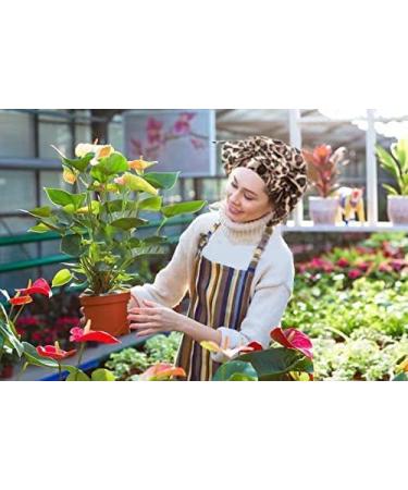 Satin Hair Bonnet for Curly Hair - Brown Large | Sleep Cap for Curly Hair - Buy Online on GoSupps.com
