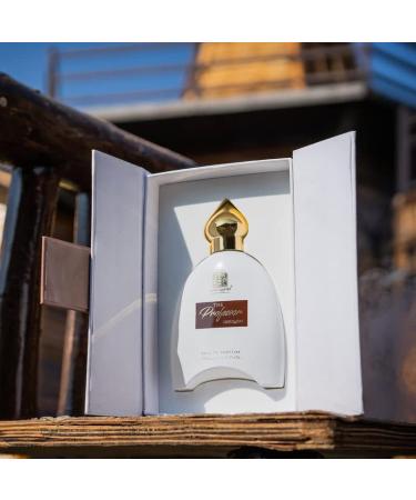 Ad'ilqadri The Professor Perfume | Spicy Fragrance | Long Lasting Addictive Scent For Men | Eau De Parfum | 100 ml (3.38 Fl Oz) - Buy Online on GoSupps.com