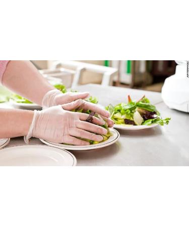 Mira Pak Disposable Clear Vinyl Gloves Box of 100|Perfect for Food Prepping/Dish Washing/Cleaning/Cooking|Single Use Only M (100 Count) - Buy Online on GoSupps.com