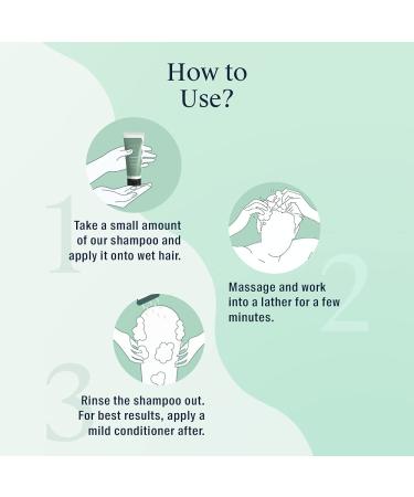 Arata Hydrating Shampoo - All Natural Vegan Formula with Ayurvedic Ginger & Ginkgo | Moisturizes Dry Hair | 2.5 Fl Oz | Cruelty-Free - Buy Online on GoSupps.com