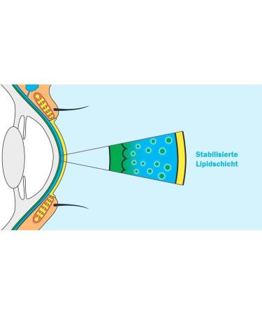 LipoNit Eye Spray Sensitive for improved hydration of irritated eyes 10 ml 10 ml 2 x 10ml 2x - Buy Online on GoSupps.com