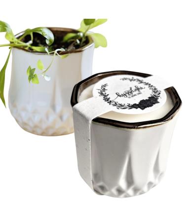 The Growing Candle from Flame to Flower Coffee & Cream Scented Non-Toxic 100% Soy Wax Indoor Wildflower Garden Aromatherapy Gift for Women 9oz 45-50 Hr Burn Time Astrid Coffee & Cream Astrid