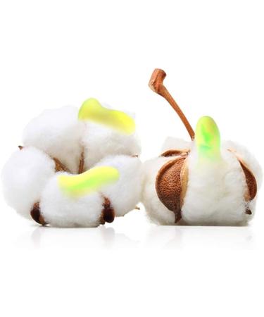 Hearing Protection Earplugs for Sleep & Noise Reduction | Anti-Noise Ear Canal Inserts for Women & Students - 2 Pairs Size A - Buy Online on GoSupps.com