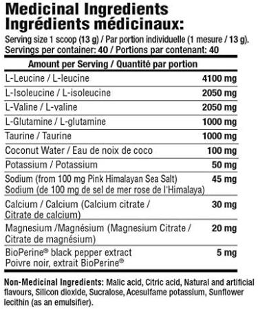 Mammoth BCAA 40 serve - Peach Mango 520 gram Peach Mango 520 gram - Buy Online on GoSupps.com