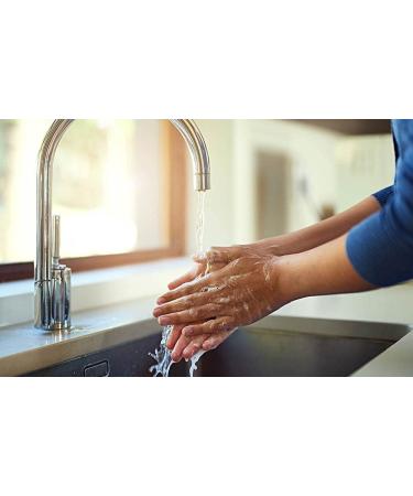 Arm & Hammer Kitchen Fresh Liquid Hand Soap - Natural Cleaning for Your Hands - Buy Online on GoSupps.com