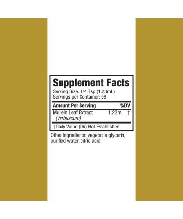 Rejuvica Health Active Mullein 2oz - Advanced Mullein Liquid Extract - Lung Support Drops - Vegan Sugar Free Non GMO Tincture - Buy Online on GoSupps.com