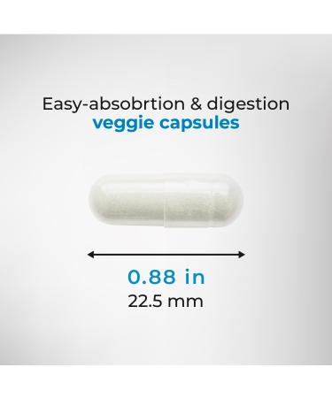 Buy L-Arginine & L-Citrulline Supplement - 500mg Nitric Oxide Formula for Workouts - 60 Capsules - Non-GMO Gluten Free - Made in USA - Buy Online on GoSupps.com