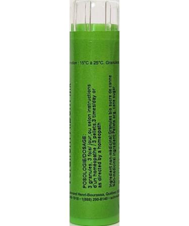 Veratrum Album MK (1M) Homeopathy Medicine Schmidt-Nagel Canada (Homeodel) 90 pellets/granules - Buy Online on GoSupps.com