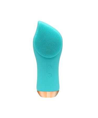 Heated Silicone Facial Cleansing Device Pore Cleaner Constant Temperature Importing Device Facial Washing Device Beauty Cleaning Brush Red (Blue)