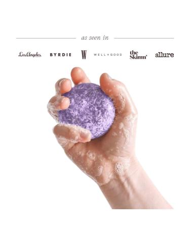 Parrotfish Purple Shampoo Bar | Vegan Toning & Neutralizing Shampoo for Colored Hair | Easy Liquid Transition | Made in the USA - Buy Online on GoSupps.com