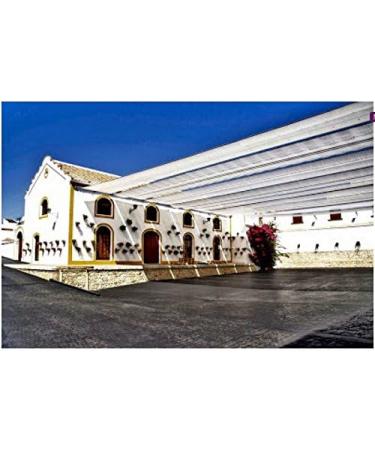  olivaoliva Nu ez de Prado - glass bottle 500 ml - Buy Online on GoSupps.com