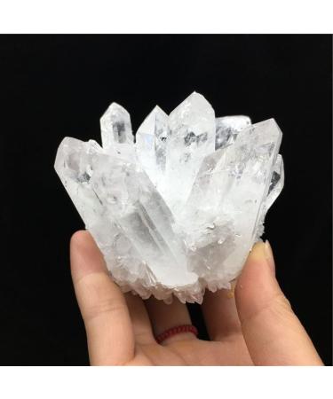 Natural Crystal Rough 1PC Natural Crystal Cluster Specimen Ore Quartz Reiki Stone Raw Crystals Home Crystal (Size : 500-600g)