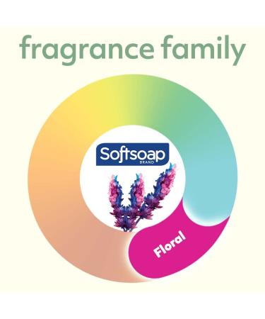 Softsoap Antibacterial Sensitive Rosewater & Aloe Hand Soap 11.25 Oz - 6 Pack - Buy Online on GoSupps.com