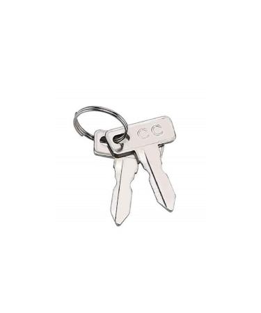 Club Car Replacement Golf Cart Keys (2 Pack) Gray - Buy Online on GoSupps.com