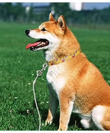 KOMUNJ 9.84ft Chew Proof Dog Tie Out Cable Steel Wire Double Heads Leash for Outdoor Walking & Camping - Small, Medium, and Large Dogs - Buy Online on GoSupps.com