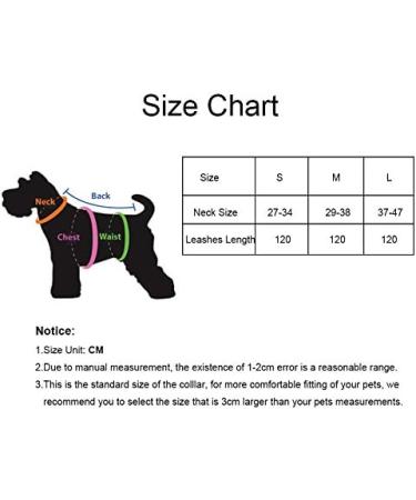 Newtensina Dog Collar and Lead Set Nylon Straps Woven Bling Collar Leather Diamante Puppy Collar with Leash for Dogs - Blue - S S Blue - Buy Online on GoSupps.com