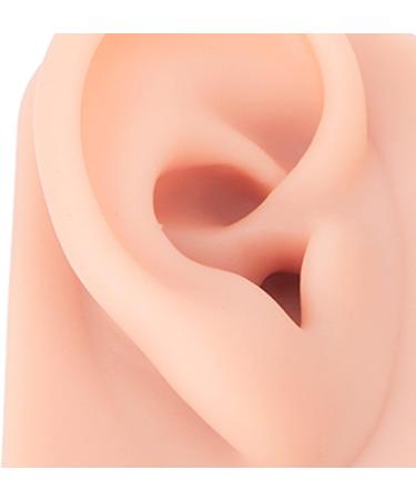 Reusable Silicone Ear Model - Flexible Fake Ear for Jewelry Exhibition & Acupuncture - 1 Pair - Buy Online on GoSupps.com