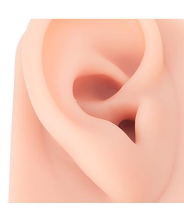 Silicone Ear Model Pair - Human Ear Display Teaching Aid - Fake Ear Practice Piercings Tools - Buy Online on GoSupps.com