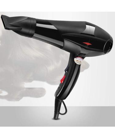 1800W Pro Hair Dryer with Nozzle Ionic Powerful Salon Professional Blow Dryer DC Motor Fast Hairdryer with 2 Speed and 3 Heat Settings Hanging Loop for Hairstylist Dresser Home Men and Women Small - Buy Online on GoSupps.com