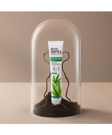 Ecodenta Multifunctional Fluoride Free Toothpaste 75 ml Certified Organic Toothpaste with Potassium Citrate Matcha Aloe Vera Juice Peppermint Essential Oil - Buy Online on GoSupps.com