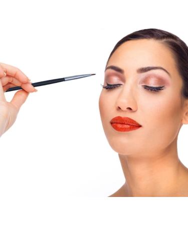 FOMIYES 5Pcs Eyeliner Brush Safe Portable Durable Eyeliner Applicator Makeup Tool Lipstick Brush 18x0.4cm Black - Buy Online on GoSupps.com