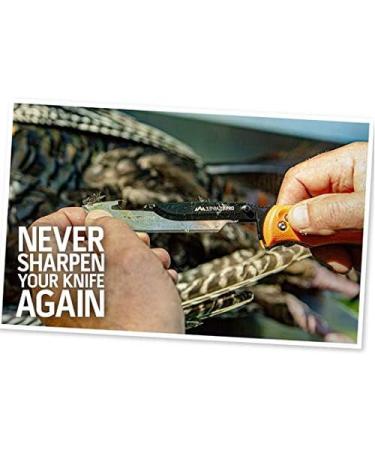 Outdoor Edge 24 Razor Blades 3.5 - Premium Quality Blades for Outdoor Adventures | International Shipping Available - Buy Online on GoSupps.com