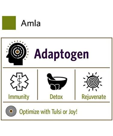 Organic India Amla Fruit Powder 16 oz - Pure, Natural Superfood for Health Boost - Buy Online on GoSupps.com