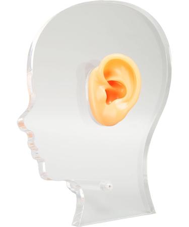 Ear Display Mould Lifelike Soft Fake Ear Model Professional Silicone Flexible for for Hospital - Buy Online on GoSupps.com