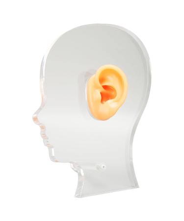 Ear Display Mold: Lifelike Silicone Ear Model with Acrylic Stand for Hospitals - Buy Online on GoSupps.com
