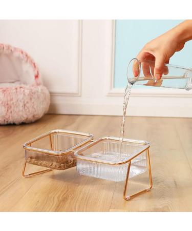 HOHXFYP Elevated Cat Bowls 15 Degree Tilt Stable Raised Cat Food Water Bowl Easily Removable Transparent Cat Bowls with Raised Bowl Bottom for Cats Dogs(S-Gold) Small Gold - Buy Online on GoSupps.com