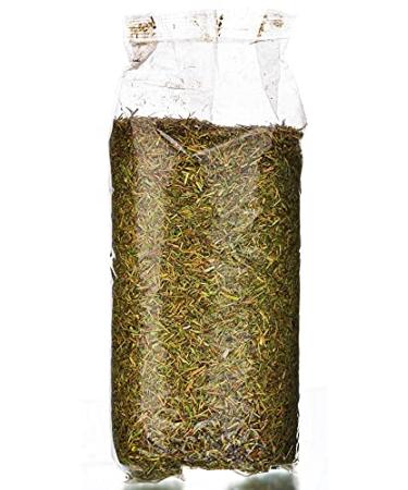 Siberian Thyme Herb Tea - 3.53 OZ (100 Grams) - Buy Online on GoSupps.com