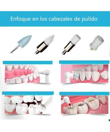 Danive Electric Dental Polisher | Tooth Spot & Plaque Remover | 4 Polishing Heads & 3 Modes | Pet Tooth Cleaning Tool - Buy Online on GoSupps.com