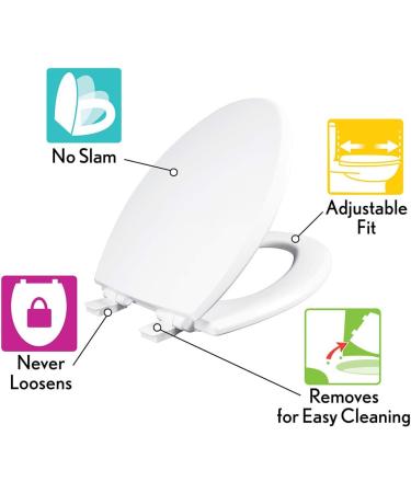 Mayfair Kendall Slow-Close Enameled Wood Toilet Seat - White, Round, Premium Hinge - 1 Pack - Buy Online on GoSupps.com