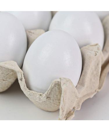 SallyFashion 15 PCS White Wooden Easter Eggs - DIY Kitchen Craft Toy for Children - Buy Online on GoSupps.com