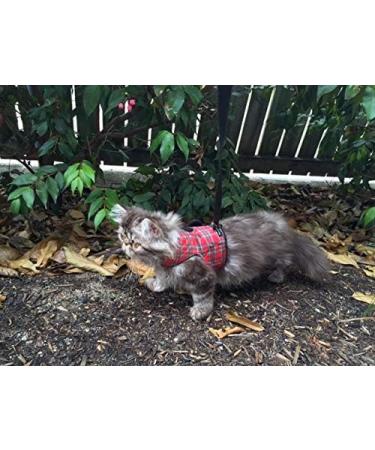 Mynwood Cat Jacket/Harness Royal Stewart Tartan Adult Cat - Buy Online on GoSupps.com
