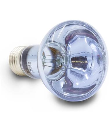 Terra Exotica Neo Spot - UV Radiation Terrarium Reflector & Heat Light Source (25W 40W 60W 75W 100W 150W) for Healthy Terrarium Dwellers - Buy Online on GoSupps.com