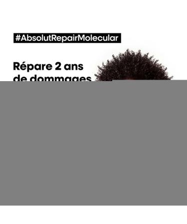 Buy ABSOLUT REPAIR MOLECULAR Pre-Treatment Spray 190 ml | International Shipping Available | Best Hair Repair Solution - Buy Online on GoSupps.com