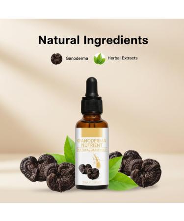 zowamap Antigreying Hair Serum Hair Darkening Serum Ganoderma Nutrient Natural Darkening Serum Restore Natural Color for Women Men 3PCS - Buy Online on GoSupps.com