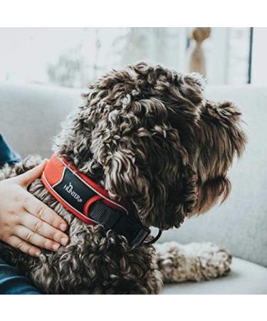 HUNTER DIVO Nylon Dog Collar - Medium Red/Grey | Premium Quality Pet Accessory - Buy Online on GoSupps.com