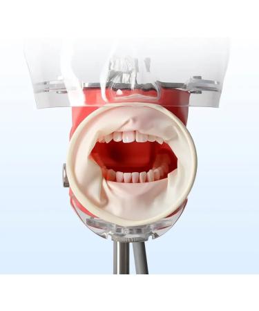 VIBURISH Disposable Rubber Mouth Opener Expander Retractor O Shape Rubber Retractor - Buy Online on GoSupps.com