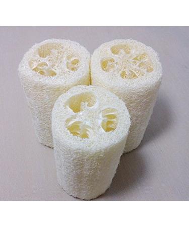 5x Demarkt Natural Loofah Luffa Cucumber Sponge - 10cm Natural Fiber Bath Sponge for Exfoliation | International Shipping Available - Buy Online on GoSupps.com