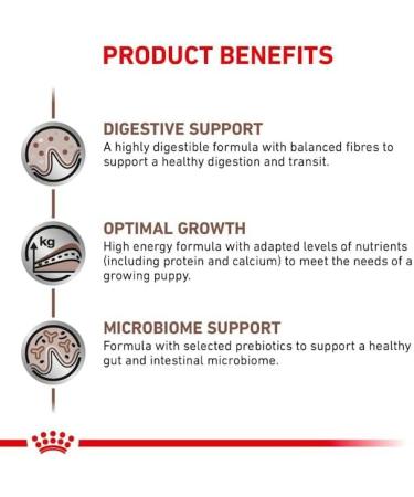 ROYAL CANIN Gastro Intestinal Puppy Dog (GIJ 29) - 1kg - Buy Online on GoSupps.com