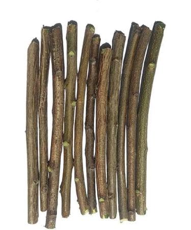 bhavika Creation Natural Neem Datun Chewing Sticks for Oral Care 20 Pieces - Buy Online on GoSupps.com