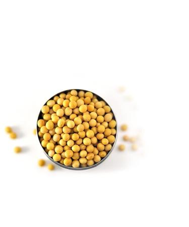 Umami ORGANIC Tamari Soy Sauce - Artisanal Japanese Fermentation 750 ml | International Shipping Available - Buy Online on GoSupps.com