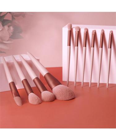 Buy Smokey Rose Makeup Brush Set - 10 Premium Brushes with Envelope Bag | Perfect Gift for Makeup Lovers - Buy Online on GoSupps.com