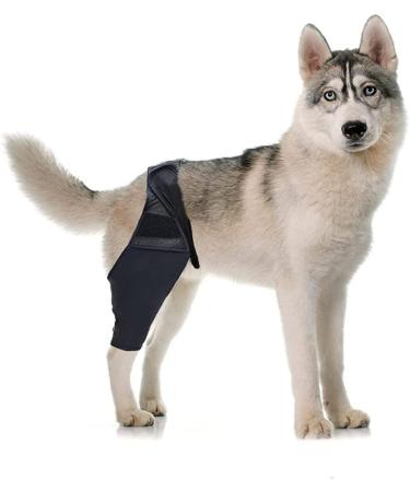 DOITOOL Paw Knee Knee Pads Dog Leg Brace Dog Back Dog Injured Leg Cover Front Legs Rear Bracket Puppy M 1 - Buy Online on GoSupps.com