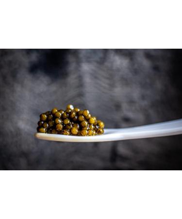 Caviar Top selection/Imperial gold hybrid beluga 250 gr - Buy Online on GoSupps.com