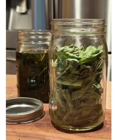 Comfrey Salve Infused Herbal Remedy Organic Skin Care All-Natural Herbal Salve Botanical Skin Care (4 Fl oz.) - Buy Online on GoSupps.com