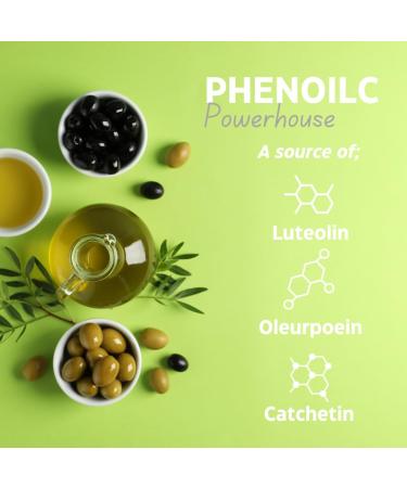 Olive Leaf Extract 6750mg 60 Capsules - Enhanced Strength - 20% Oleuropein - Non GMO - Powerful Antioxidant - Heart Skin Immunity. UK Produced by ActiveBurst - Buy Online on GoSupps.com